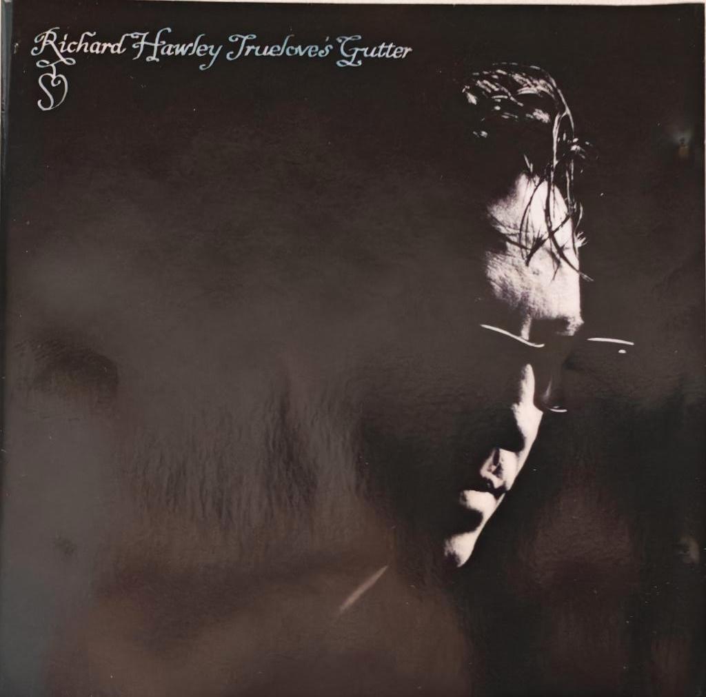 RICHARD HAWLEY - Truelove's gutter (CD), Cd's en Dvd's, Cd's | Pop, Zo goed als nieuw, 2000 - 2009, Ophalen of Verzenden