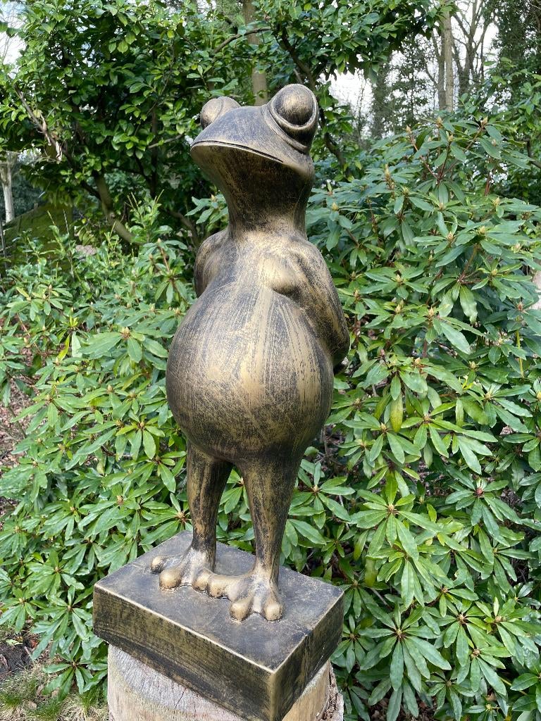 Beeld kikker, tuin, zen, zwembad, vijver yoga 80cm, Ophalen, Nieuw, Kunststof, Dierenbeeld