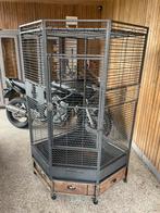 Groot kot voor Papagaai, Enlèvement, Utilisé