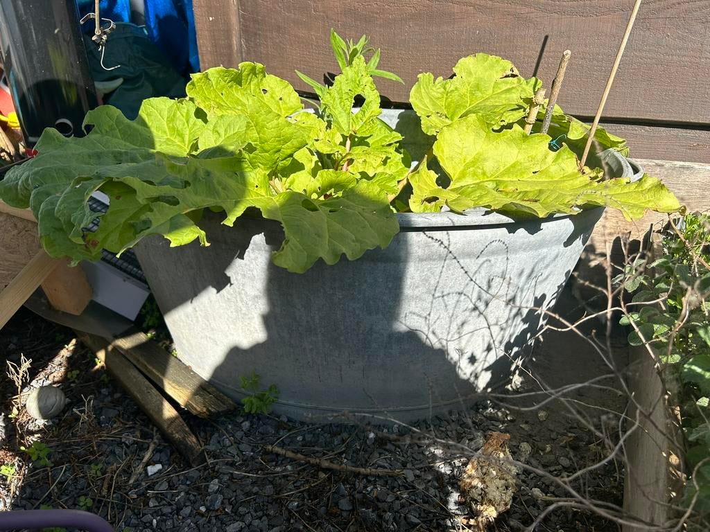 3 bassins en zinc, Jardin & Terrasse, Enlèvement, Utilisé