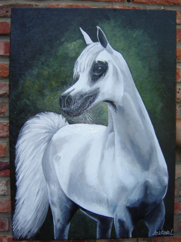 Schilderij Arabisch paard (doek 50x70), Ophalen