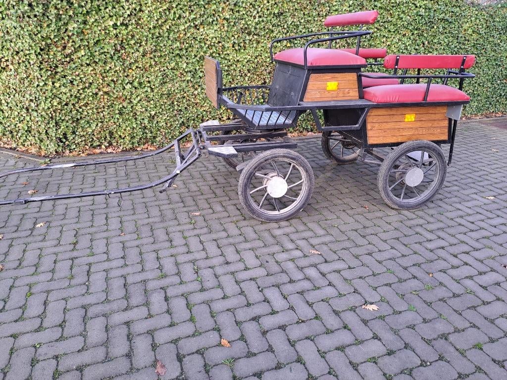 Calèche, Utilisé, Wagonette, Cheval ou Poney