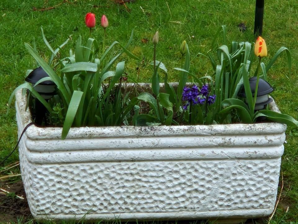 2 bacs à fleurs en béton, Balcon, 40 cm ou plus, 70 cm ou plus, Béton