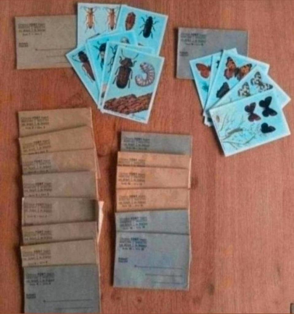 Volledige reeks chromos fort van de insekten van België, Verzamelen, Ophalen of Verzenden