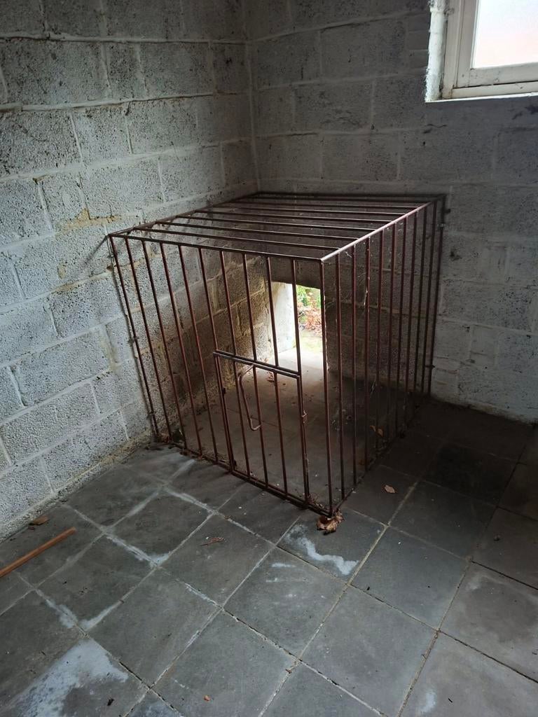 Cage de coin pour chien, Animaux & Accessoires, Maisons pour chiens, Enlèvement