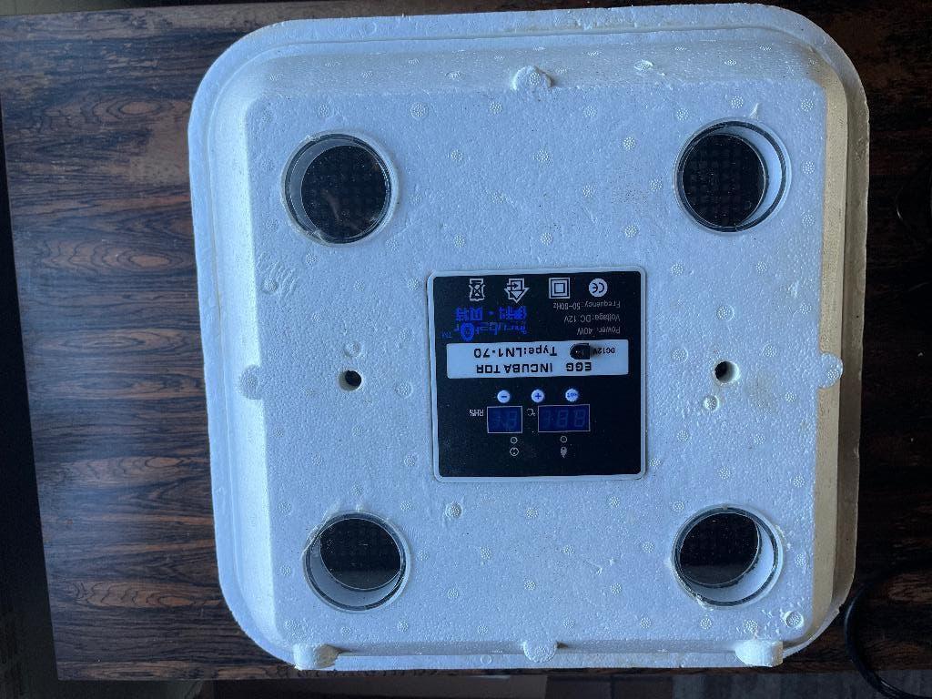 Broeikas voor kippen, Animaux & Accessoires, Volatiles | Accessoires, Enlèvement, Comme neuf, Couveuse