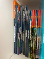 Leesboeken piet piraat en maya, Enlèvement ou Envoi, Comme neuf