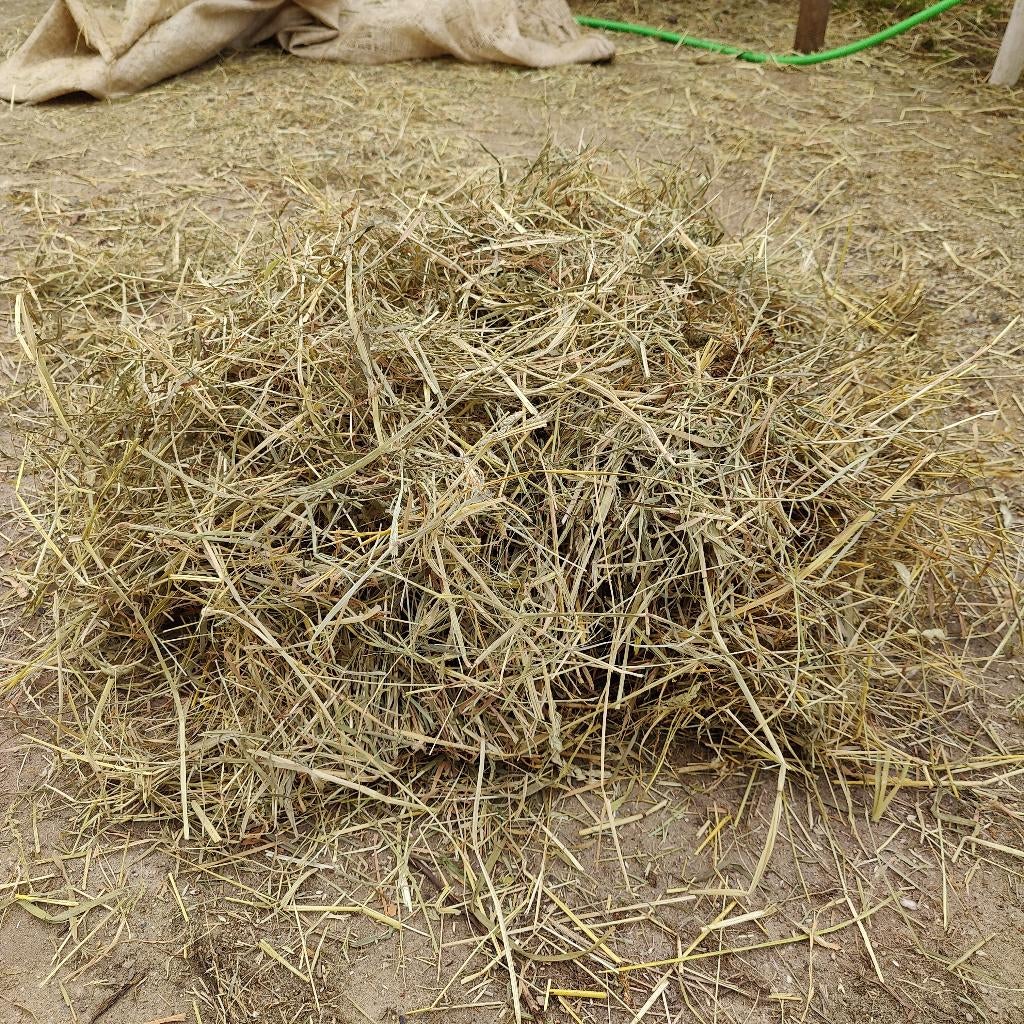 Gratis hooi, Ophalen