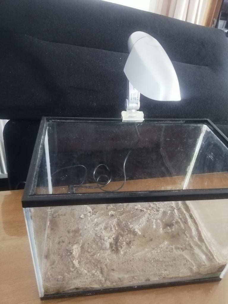 Aquarium, Enlèvement