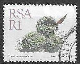 Afrique du Sud 1988 - Yvert 673 - Succulentes fleuries (ST), Timbres & Monnaies, Timbres | Afrique, Affranchi, Afrique du Sud