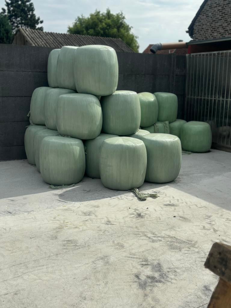 Verchillende bollen mais, Dieren en Toebehoren, Ophalen