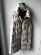 Lange bodywarmer Massimo Dutti, Kleding | Dames, Bodywarmers, Ophalen, Zo goed als nieuw, Maat 42/44 (L), Beige