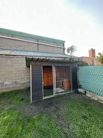 Hondenren/hondenkot, Dieren en Toebehoren, Ophalen, Gebruikt