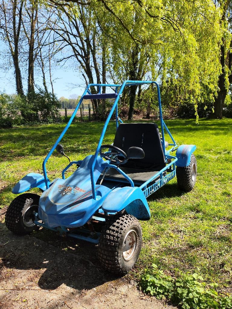 Off-road buggy / kart 125cc – 2 zitplaatsen, 1 cilinder, 125 cc, 11 kW of minder
