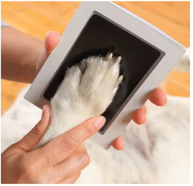 Setje voor poot afdruk, Ophalen of Verzenden, Nieuw