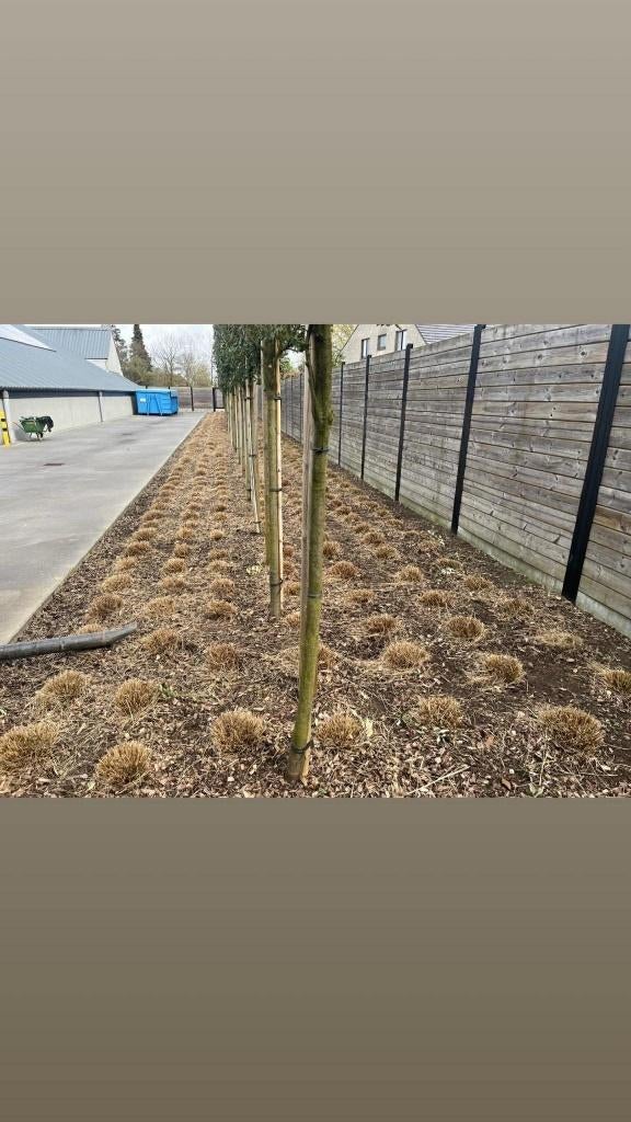 tuinonderhoud, Ophalen of Verzenden, Nieuw