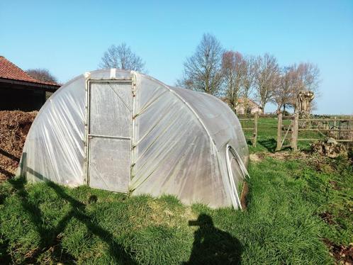 Serre, plastiek serre, Koepelserre, Tuin en Terras, Kassen, Gebruikt, Kweekkas, Staal, Folie, Ophalen