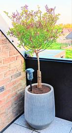 Grote plantenpot clayfibre vorstvrij, Huis en Inrichting, Woonaccessoires | Schalen en Manden, Ophalen