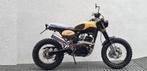 BLUROC BULLIT HERO 125 cc DESERT TROPHY special edition, Motos, Motos | KTM, 1 cylindre, Entreprise