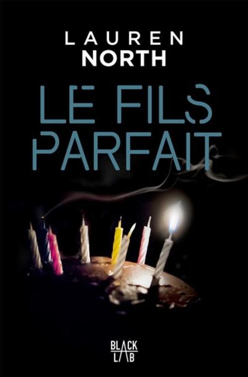 Thriller de Lauren North, Livres, Thrillers, Comme neuf, Belgique, Enlèvement ou Envoi