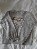 Trui, Kinderen en Baby's, Kinderkleding | Maat 98, Ophalen of Verzenden
