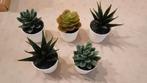 5 x plantes en plastique Ikea H 10 a13m x L 6,5cm neuves, Maison & Meubles, Plantes d'intérieur, Enlèvement ou Envoi