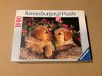 Puzzel hondjes 1000 stukjes, Hobby en Vrije tijd, Ophalen, 500 t/m 1500 stukjes, Gebruikt, Legpuzzel
