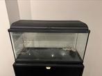 aquarium 80 L met boiler en accesoires, Dieren en Toebehoren, Ophalen