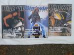 LOT motor magazines: bigtwin,freeway,italiaanse motoren,moto, Livres, Enlèvement