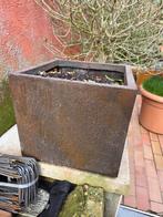 Pot de fleur brun elho, Tuin en Terras