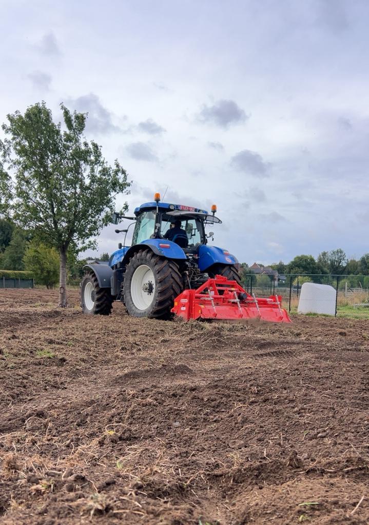 Inzaaien van Gras – grootte opp, Jardin & Terrasse, Gazon & Gazon artificiel, Herbe, Enlèvement