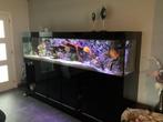 Luxe aquarium 2,7x0,65Hx0,6diep., Dieren en Toebehoren, Ophalen, Zo goed als nieuw