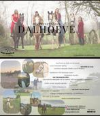 we hebben plaats voor stalling rijpaard, Dieren en Toebehoren, Stalling, 2 of 3 paarden of pony's