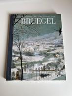 De mooiste meesterwerken van Bruegel, Ophalen of Verzenden, Nieuw, Schilder- en Tekenkunst