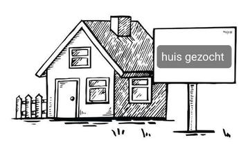 Huis te huur gezocht, Immo