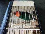 Nieuwe mutatie roodkop papegaai amadine zeegroen roodkop, Dieren en Toebehoren, Tropenvogel