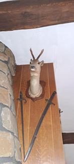 Taxidermie , tête de chevreuil empaillée, Enlèvement, Utilisé, Autres, Bois ou Tête
