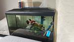Aquarium avec poissons, Dieren en Toebehoren, Ophalen, Gebruikt