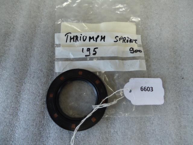 Sprint 900 1996 - 1998 Triumph Dichting D1-13904, Motos, Pièces | Autre