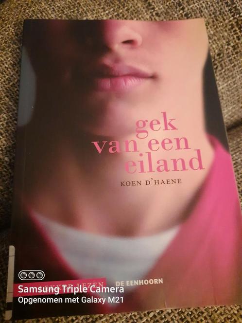 Koen D'Haene - Gek van een eiland, Livres, Livres pour enfants | Jeunesse | 13 ans et plus, Comme neuf, Enlèvement ou Envoi