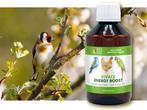 Vivace Energy Boost 250ml, vita vogel, Animaux & Accessoires, Volatiles | Accessoires, Autres types, Enlèvement ou Envoi, Neuf