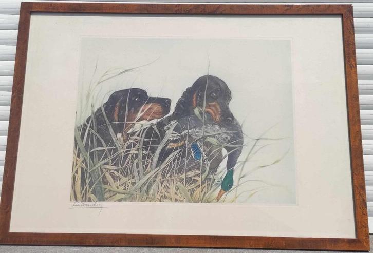 gravure chien de chasse signe Léon danchin, Antiek en Kunst, Kunst | Etsen en Gravures, Ophalen of Verzenden