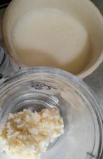 Kefir bloemetjes, Diversen, Ophalen