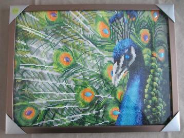 Diamond painting Pauw + kader beschikbaar voor biedingen