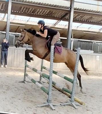Zeer unieke en ALLERBRAAFSTE allround appaloosa E pony !!  beschikbaar voor biedingen
