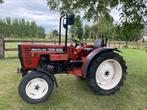 Fiat New Holland 35-66, Zakelijke goederen, Landbouw | Tractoren, Gebruikt, Tot 80 Pk, Fiat, 250 tot 500 cm