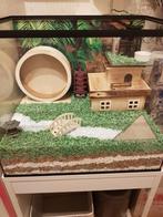 Op maat gemaakte Terrariums voor Knaagdieren, Dieren en Toebehoren, Nieuw, Minder dan 75 cm, Hamster, Minder dan 60 cm