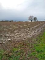 landbouwgrond met toekomst, Immo, Gronden en Bouwgronden