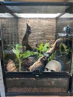 Exo terra terrarium ingericht 45x45x60cm, Dieren en Toebehoren, Ophalen, Zo goed als nieuw