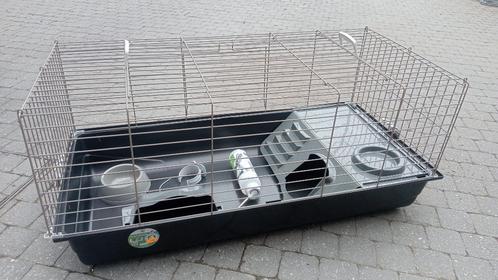 cage à lapin, Animaux & Accessoires, Rongeurs & Lapins | Cages & Clapiers, Neuf, Cage, Moins de 60 cm, 75 à 110 cm, Lapin, Enlèvement